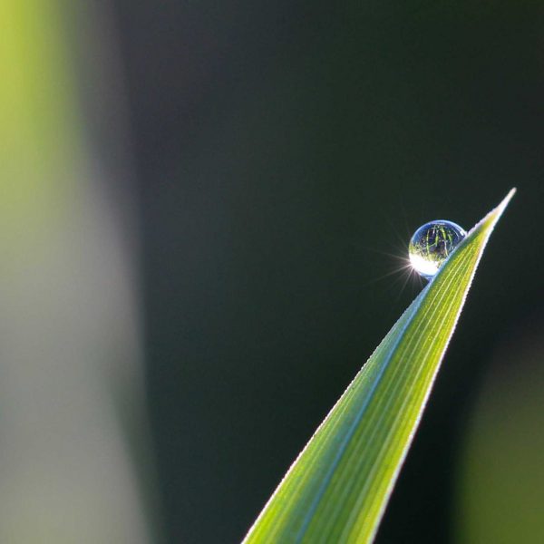 blade-blur-bright-close-up-531428