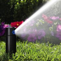 pgp_h4732_rt pgp_h4732_rt