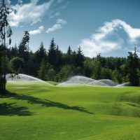 whitehorse.hi-002273 whitehorse.hi-002273