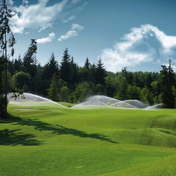 whitehorse.hi-002273 whitehorse.hi-002273