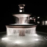 8 Karaka Water Feature 2