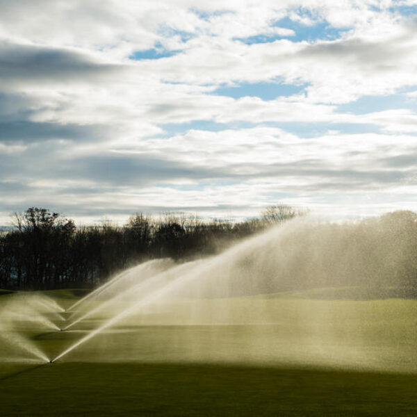 hunter_golf_rotors hunter_golf_rotors